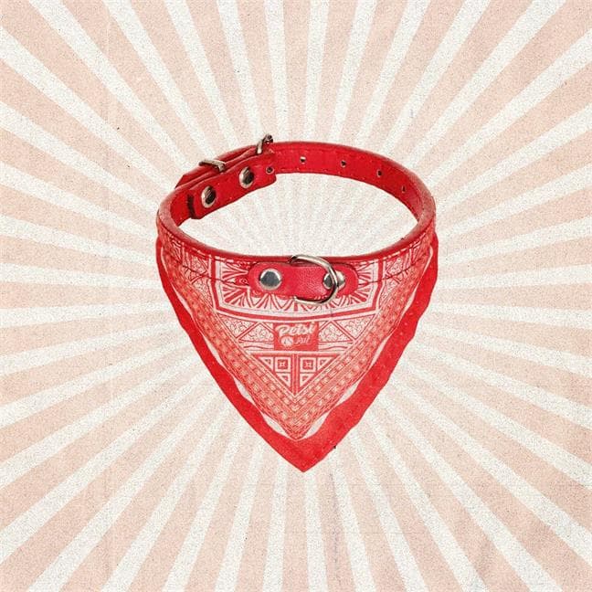 Bandana Petsi Pat