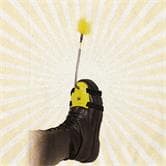 Plume Pied Petsi Pat