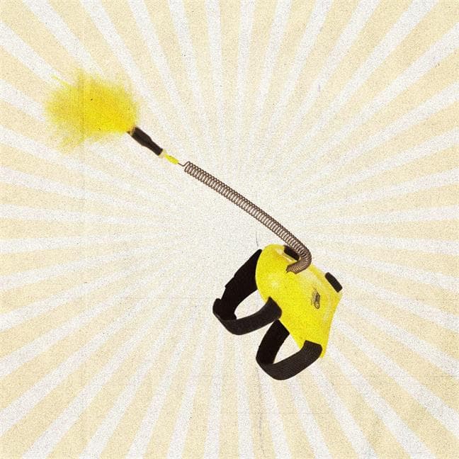 Plume Pied Petsi Pat